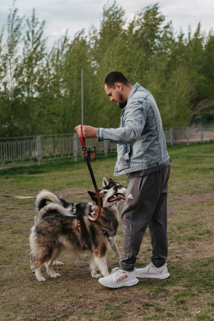 Фотосессия с питомцем — трогательные кадры с вашим любимцем – фото № 7